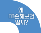 왜 DB손해보험일까?